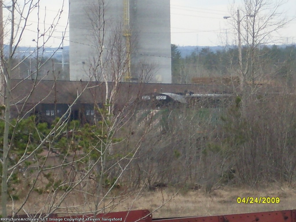 LS&amp;I Hideing In The Yard